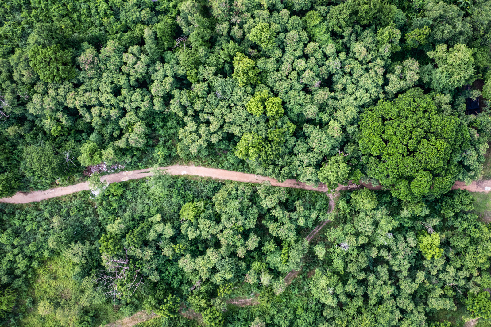 Unlocking Sustainability: 3 Schritte zur Verringerung des Kohlenstoff-Fußabdrucks in der linearen Infrastruktur